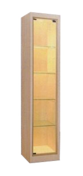Display Cabinet DC1123